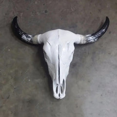 Cabeça de Boi Crânio Caveira Natural Decorativo